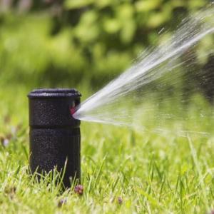 Santa Fe Sprinkler Head Replacement